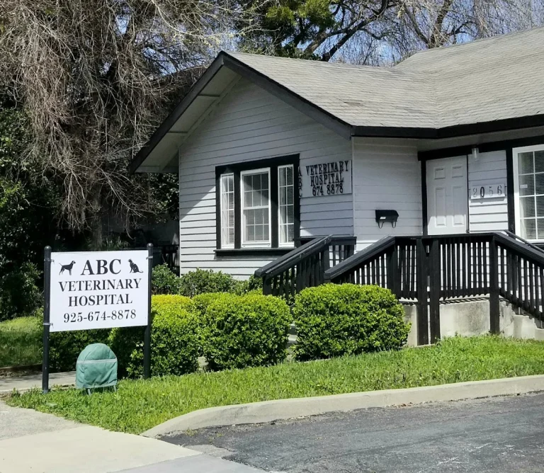 ABC Veterinary Hospital