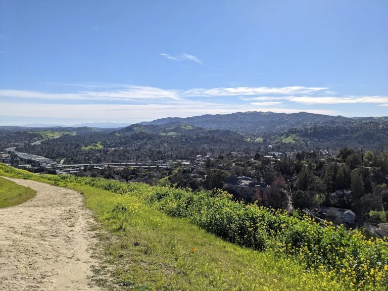 Acalanes Ridge