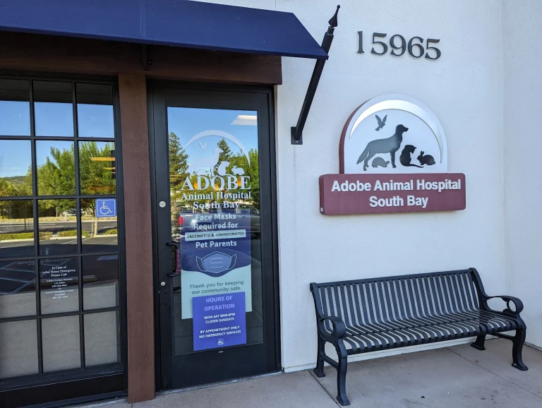 Adobe Animal Hospital South Google Places photo