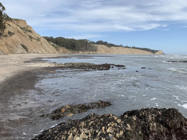 Agate Beach, a dog-friendly beach in Bolinas, California