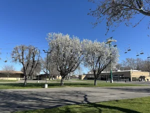 Alameda County Fairgrounds RV