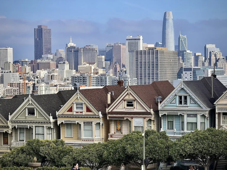 Alamo Square Park, a dog-friendly park in San Francisco, California