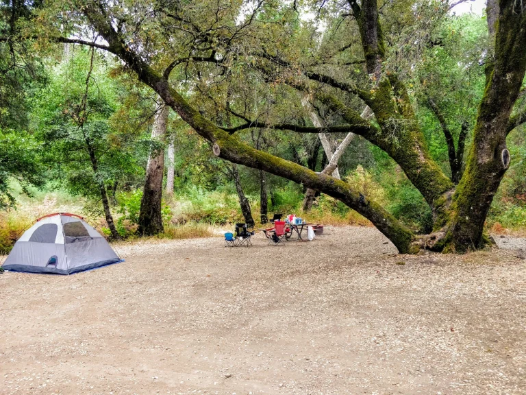 Alder Creek Beach