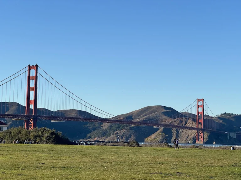 All About Paws, a dog-friendly local service in San Francisco, California