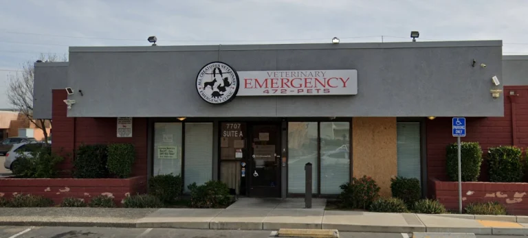 All Creatures Veterinary, a dog-friendly veterinary clinic in Stockton, California