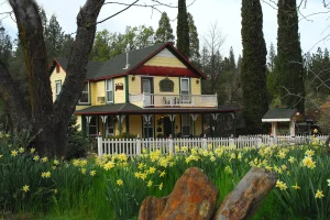 All Seasons Groveland Inn, a dog-friendly lodging in Groveland, California