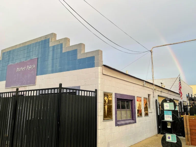 Alliance Dog Kennels, a dog-friendly pet boarding facility in Redwood City, California