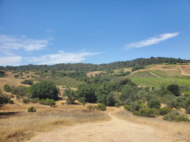 Alston Park, a dog-friendly dog park in Napa, California