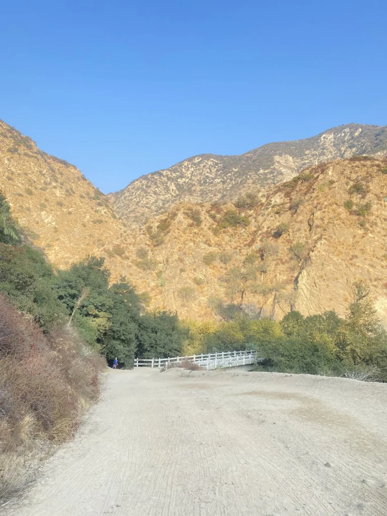 Altadena Crest Trail Connector, a dog-friendly hiking trail in Altadena, California