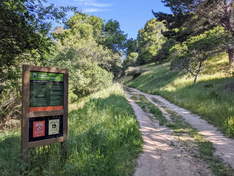 Alto Bowl Open Space