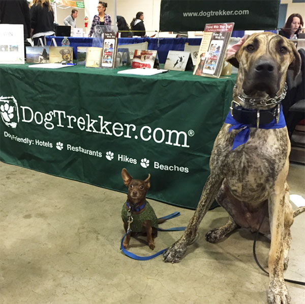 Alvin and Theodore at the Bay Area Pet Expo