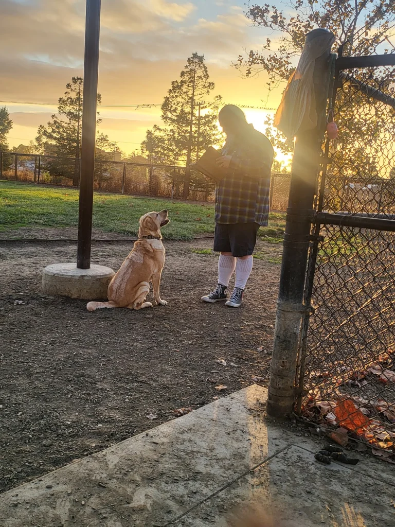 American Canyon Dog Park
