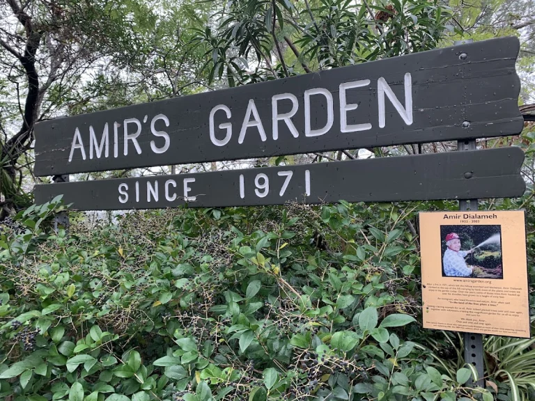 Amir's Garden, a dog-friendly park in Los Angeles, California