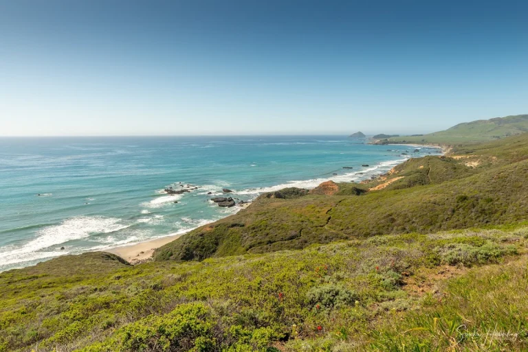 Andrew Molera State Park, a dog-friendly park in Big Sur, California