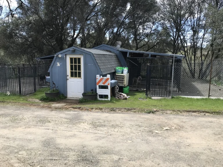 Animal Care Center