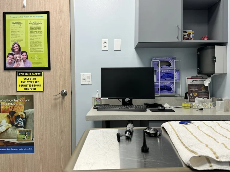 Animal Care Center