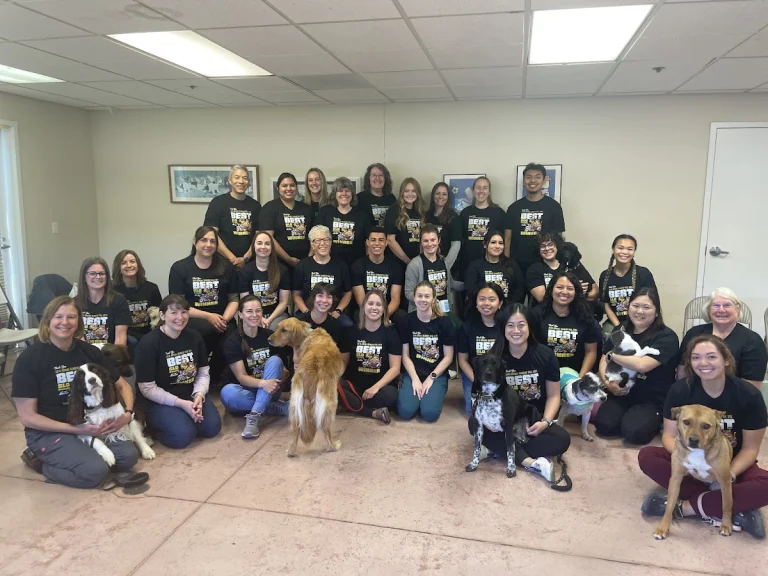 Animal Care Clinic