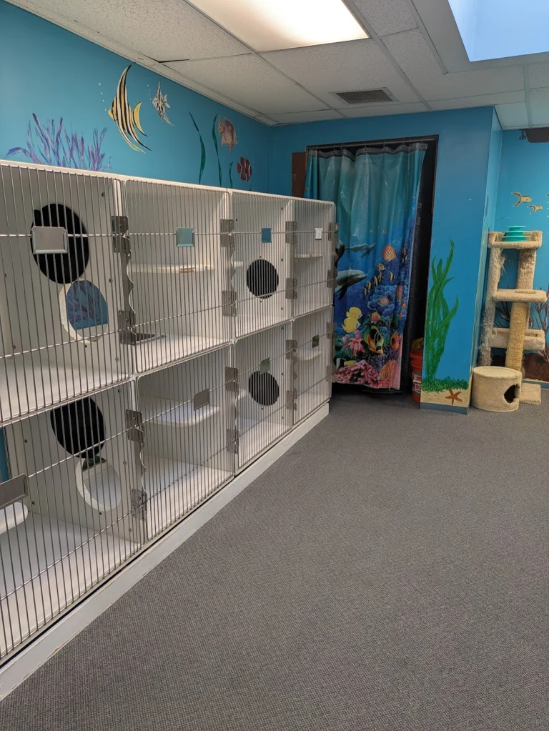 Animal Inns of America, a dog-friendly pet boarding facility in Garden Grove, California