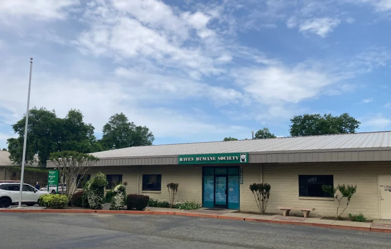Animal Rescue of Anderson