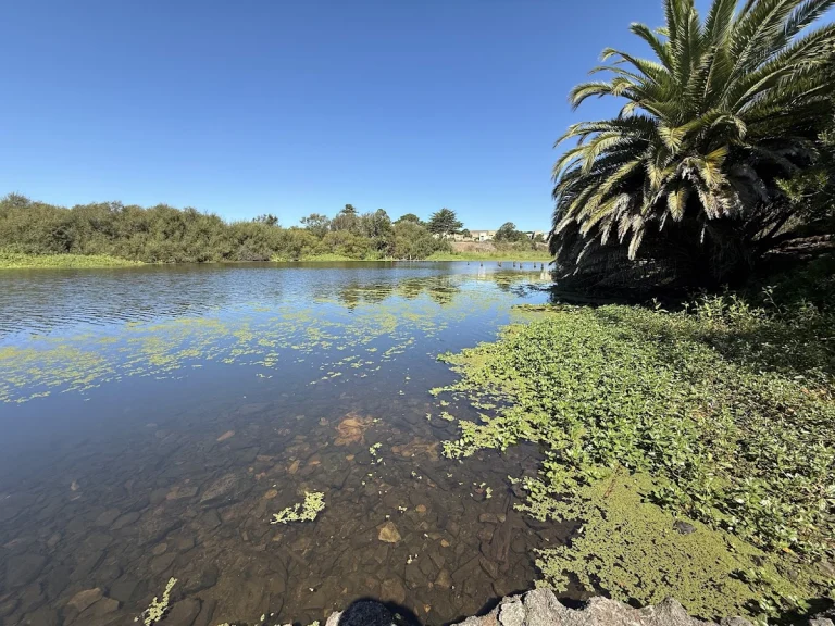 Antonelli Pond, Santa Cruz