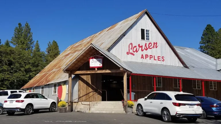 Apple Hill Wine Trail, Camino