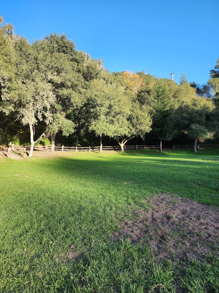 Aptos Village Park, a dog-friendly park in Aptos, California