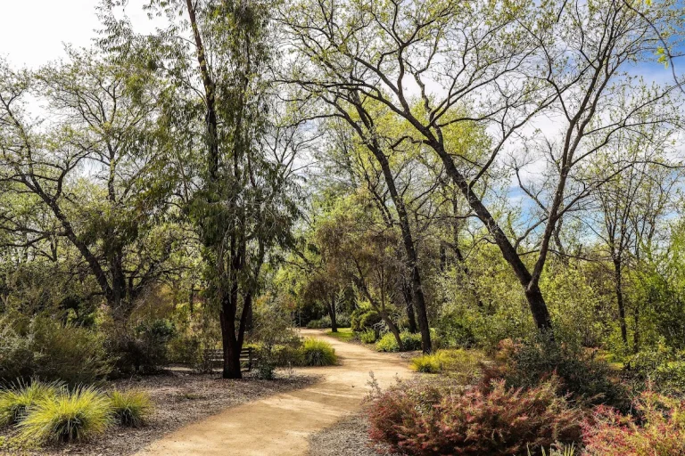 Arboretum Loop Trail