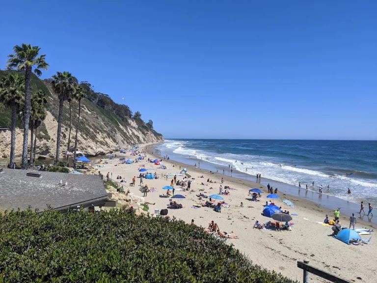 Arroyo Burro Beach, a dog-friendly beach in Santa Barbara, California