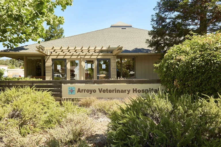 Arroyo Veterinary Hospital, Sonoma