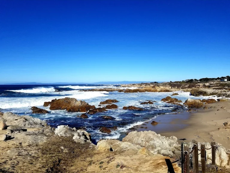 Asilomar State Beach, a dog-friendly beach in Pacific Grove, California