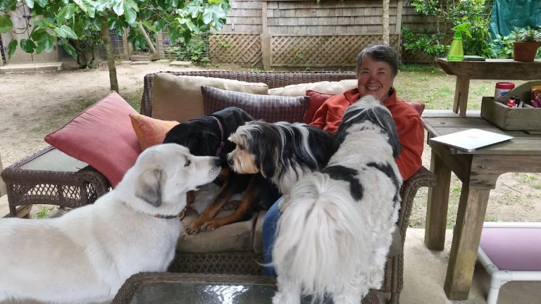 At Last Farm Dog, Mendocino