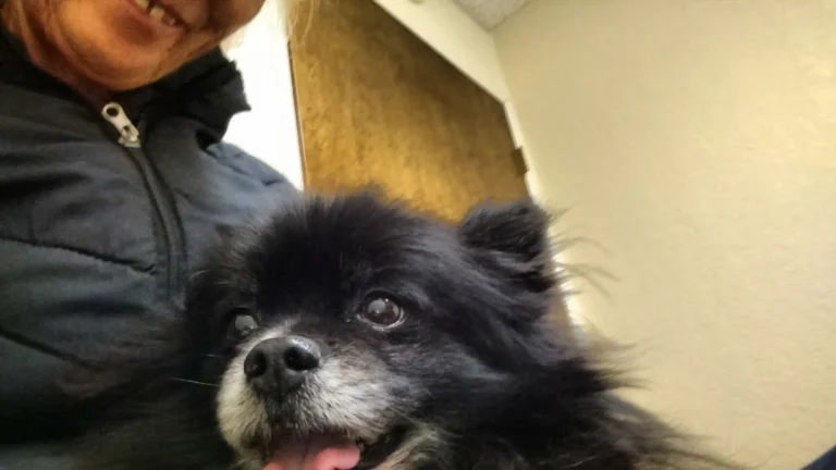Atascadero Pet Hospital, a dog-friendly veterinary clinic in Atascadero, California