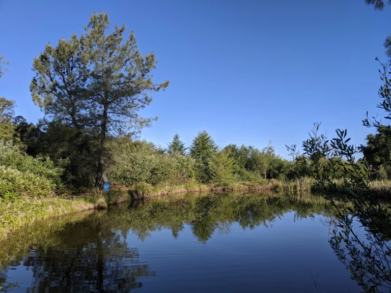 Auburn Gold Country RV Park Google Places photo