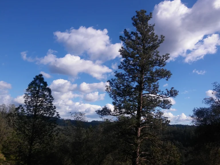 Auburn State Recreation Area Google Places photo