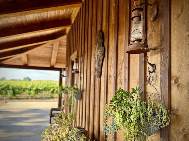 B & E Vineyard