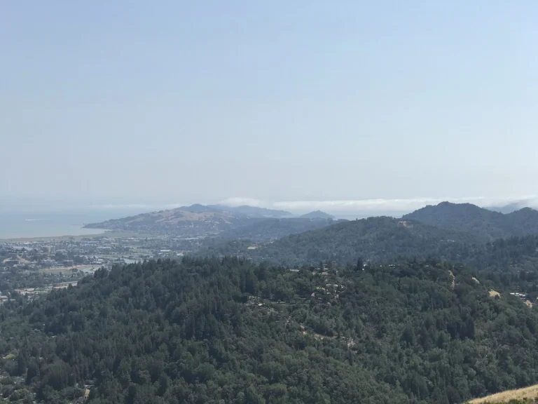 Bald Hill, a dog-friendly hiking trail in Ross, California