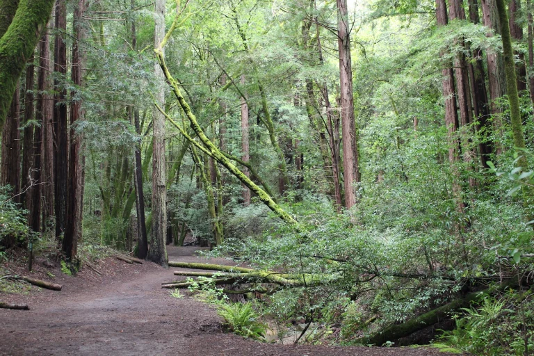 Baltimore Canyon Open Space