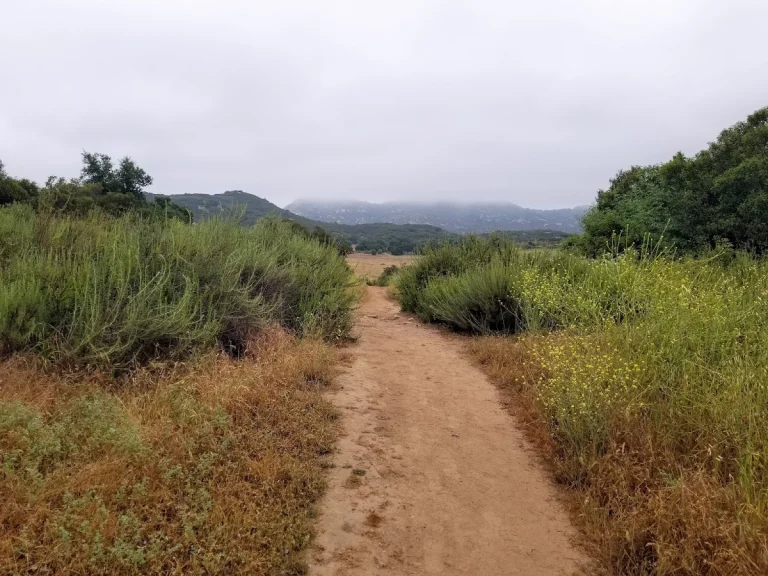 Barnett Ranch Preserve