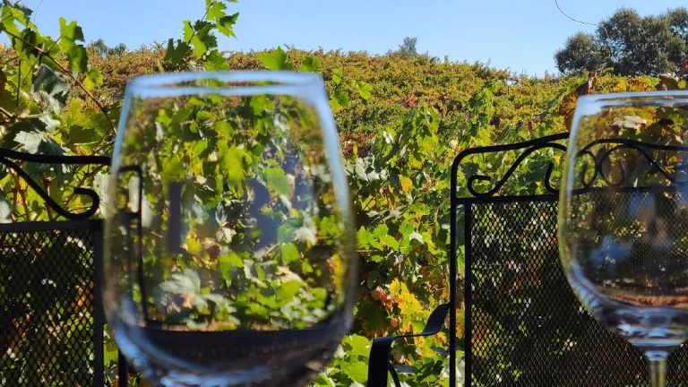 Barr Estate Winery, Paso Robles