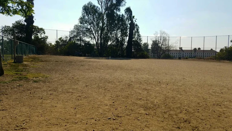 Barrington Dog Park