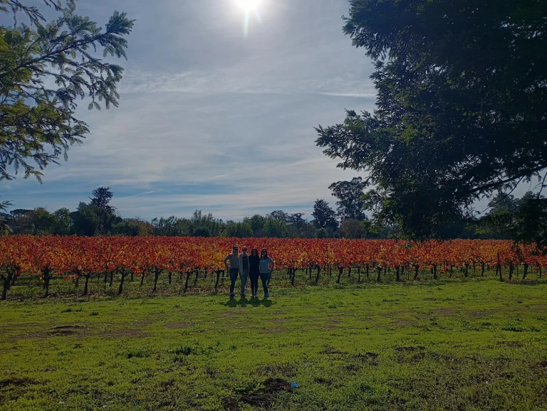 Bartholomew Park Hike