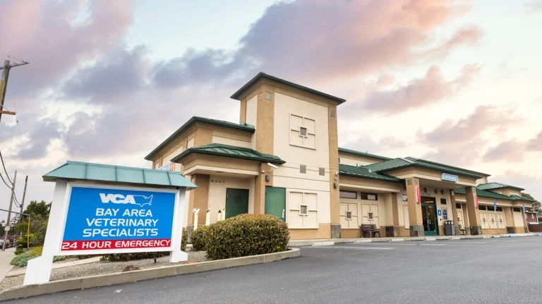 Bay Area Veterinary, a dog-friendly veterinary clinic in San Leandro, California