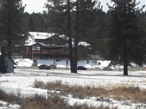 26 dog-friendly cabins in Big Bear