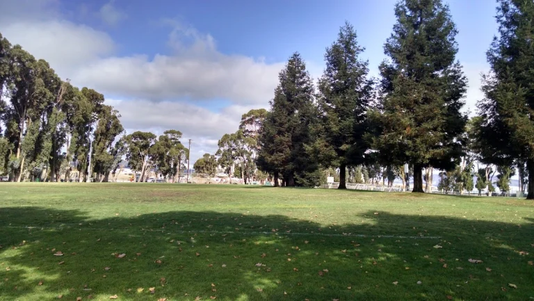 Bayside Park – Dog Park