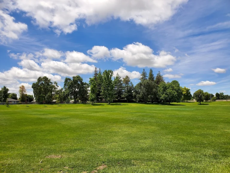 Beckman Park