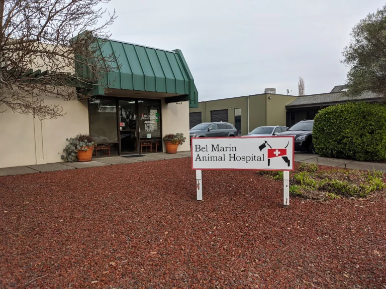 Bel Marin Animal Hospital Google Places photo