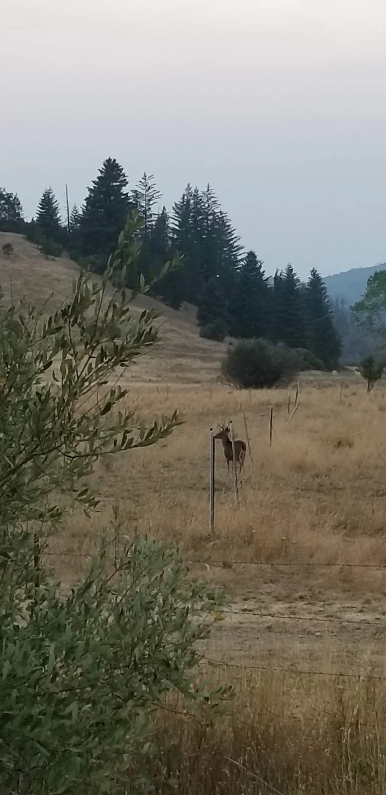 Benmore Valley Ranch