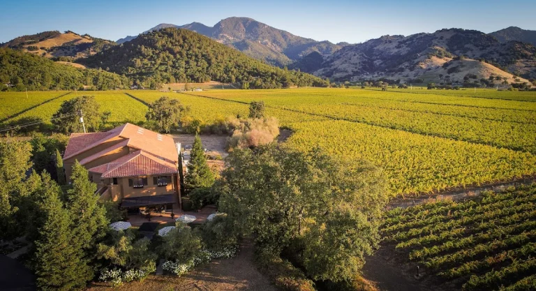 Bennett Lane Winery, Calistoga