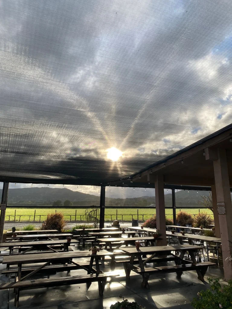 Berryessa Brewing Co., a dog-friendly bar in Winters, California