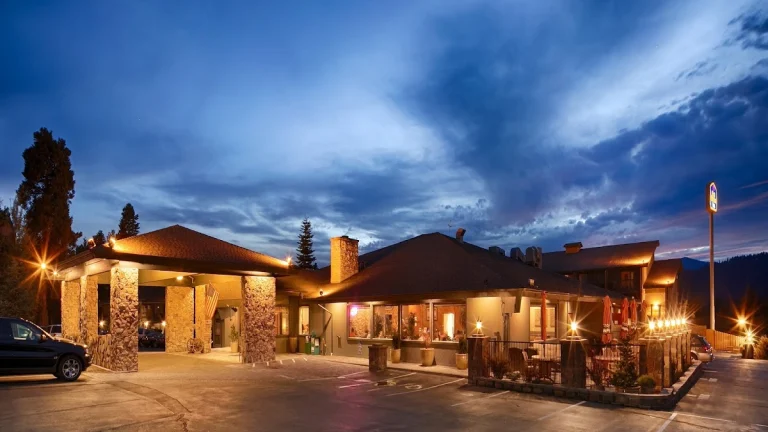 Best Western Plus Treehouse